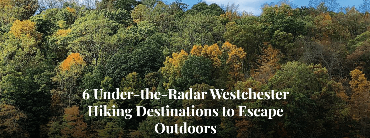 Photo: Westchester Magazine